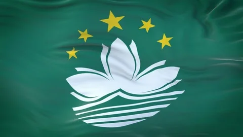 Macau flag waving in the wind with highly detailed fabric texture 動画素材 124713047
