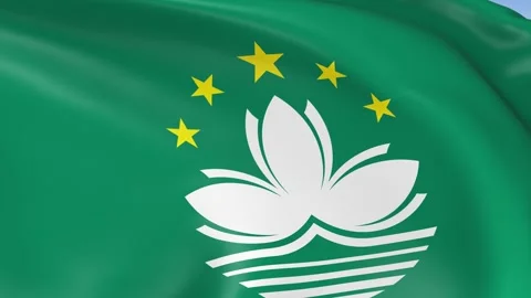 Macau Waving Flag Background Loop Stock-Footage 317847941