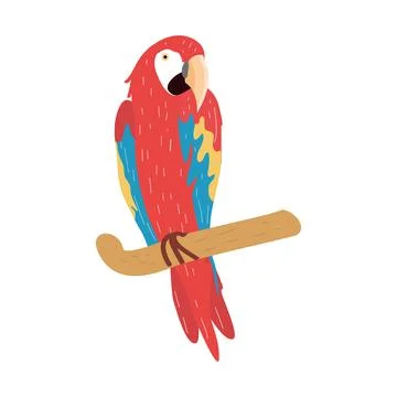 Macaw on branch Stock Illustration