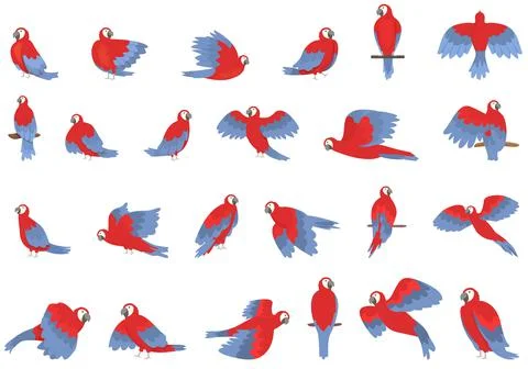 Macaw icons set cartoon vector. Fly parrot Stock Illustration