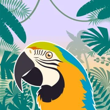Macaw on the Jungle Background Stock Illustration