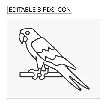 Macaw line icon 스톡 일러스트