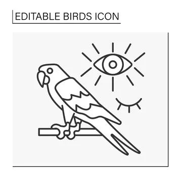 Macaw line icon Stock Illustration