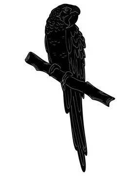 Macaw Natural View Black Vector Silhouette Design Element Illustrazione stock