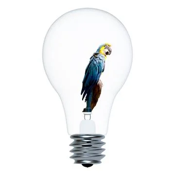 Macaw parrot in the bulb Illustrazione stock