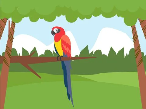 Macaw Parrot Concept Illustration 库存插图