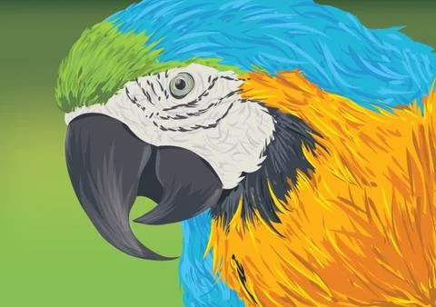 Macaw Parrot Stockillustratie