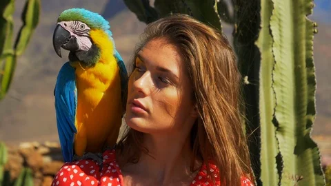 Macaw Parrot Perching on Models Shoulder with Cacti in the Background Stock-Footage 111339780