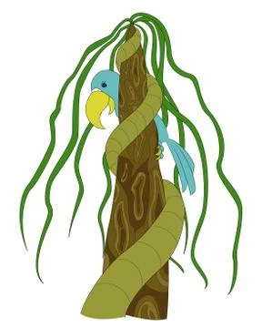 Macaw parrot vector illustration. 스톡 일러스트