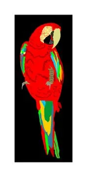 Macaw parrot vector isolated on black background illustration. イラスト素材