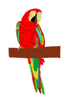 Macaw parrot vector isolated on white background illustration 스톡 일러스트