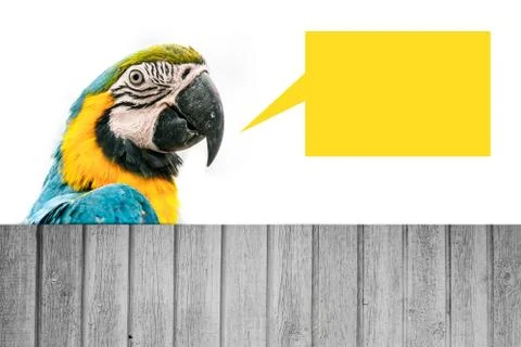 Macaw parrot wit ha speech bubble Stock Illustration