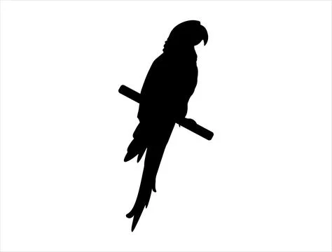 Macaw silhouette vector art Stock Illustration