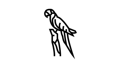 Macaw sitting parrot bird line icon animation Stock Footage 326132979