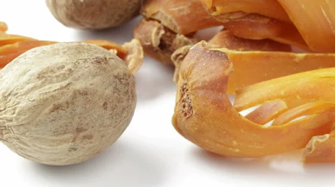 Mace and Nutmeg tracking shot. Stock Footage 62708871