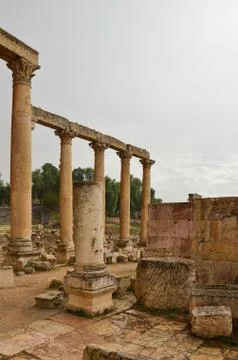 Macellum, jerash Stock Photos