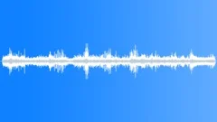 Macgregors Bowerbird MCU Rhythmic Sound Effect