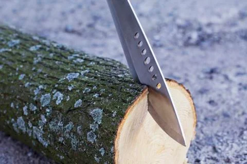 Machete stuck in stump 库存照片