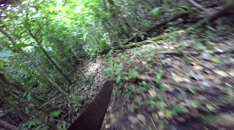Machette bashing through jungle 스톡 동영상 55387677