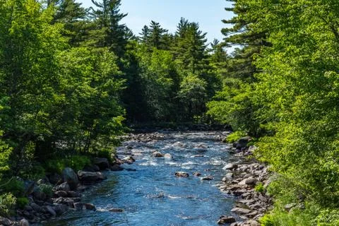 The Machias River Stock Photos