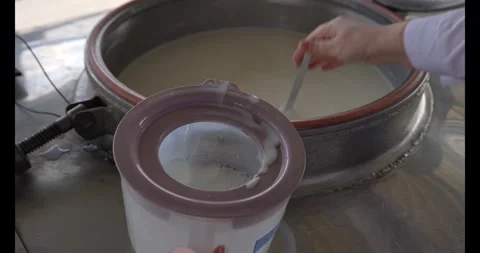Machine for bottling milk, industry equipment dairy plant Stock Footage 341729026