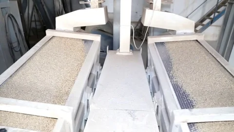Machine for cleaning grain, rice. Vídeos de archivo 82393498