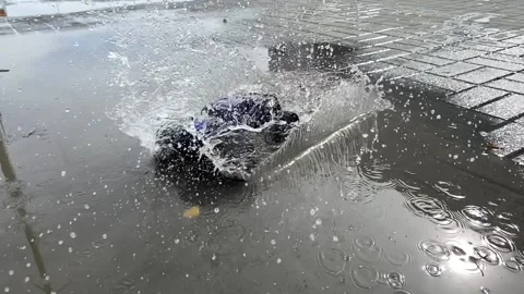 Machine on the control panel slow motion Stock Footage 127306392