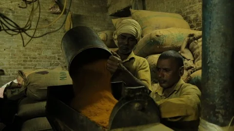 Machine Crush Turmeric Root To Powder For Curry In A Spices Factory. Video stock 122797730