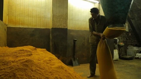 Machine Crush Turmeric Root To Powder For Curry In A Spices Factory. Video stock 122797847