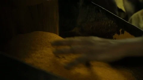 Machine Crush Turmeric Root To Powder For Curry In A Spices Factory. Stock-Footage 122797903