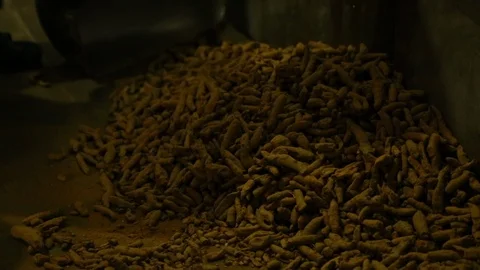 Machine Crush Turmeric Root To Powder For Curry In A Spices Factory. Stock-Footage 122798396