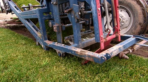 Machine cutting grass turf. Stock Footage 60977235