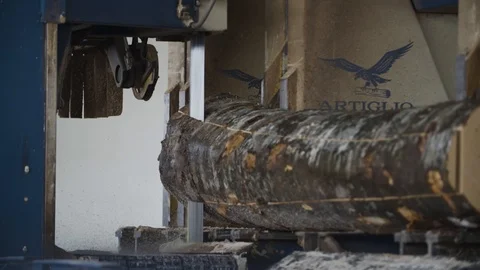A machine is cutting log into planks Stockbeeldmateriaal 92787041