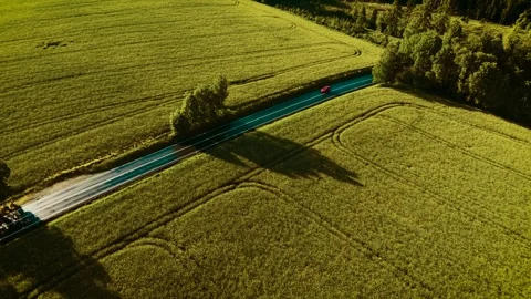 Machine driving through countryside road. Red SUV moving under golden evening Stock Footage 323594711