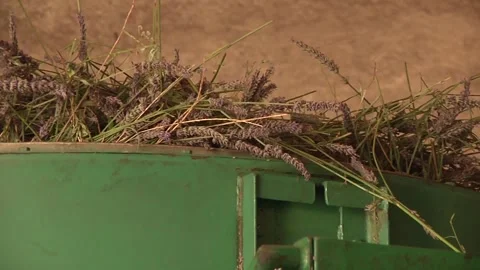 Machine for extracting lavander oil Stock Footage 300867100