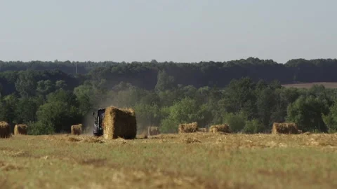 Machine on the field collects hay Stock Footage 265070475