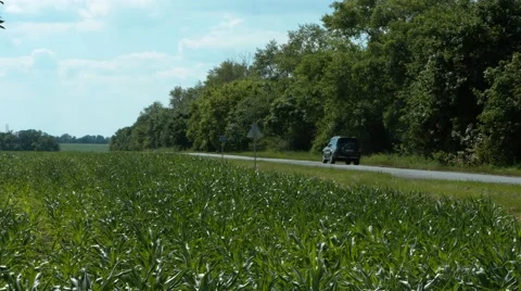 The machine goes through a field of corn Stock-Footage 66303002