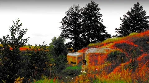 Machine gun bunker 動画素材 52426204