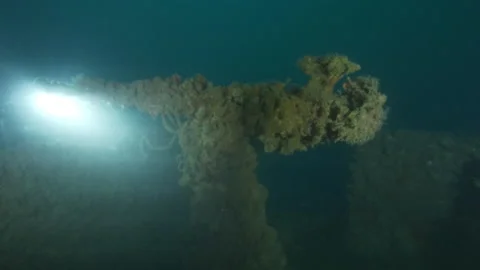 Machine gun encrusted in Aderno' wreck with diver and a shoal of rainbow wrasse Stock Footage 228048268
