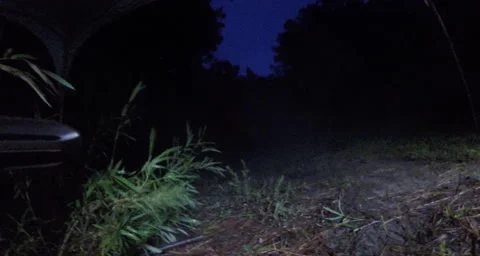 Machine Gun Fire Stock Footage 45800160