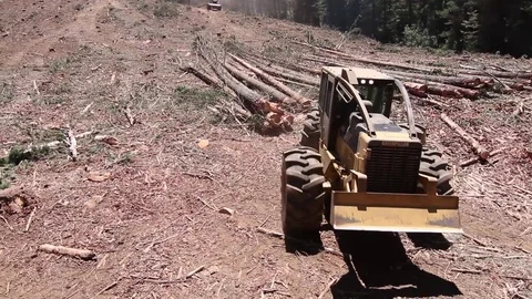Machine handling forest wood Видео 77045110
