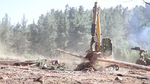 Machine handling logs Stock Footage 77045077