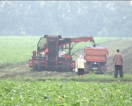 Machine harvest Stock Footage 12289543