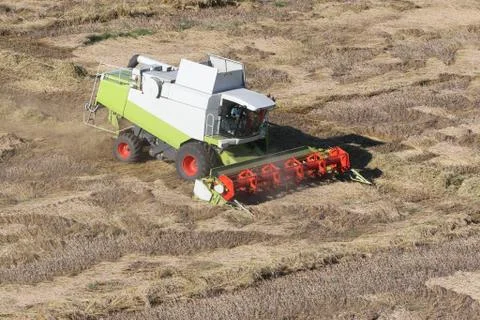 Machine harvesting the corn field Stock Photos