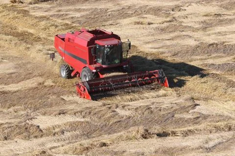 Machine harvesting the corn field Stock Photos