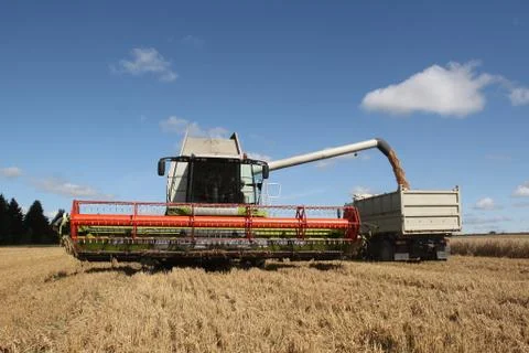 Machine harvesting the corn field Stock Photos
