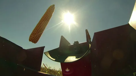 Machine Harvesting Corn Stock Footage 29688438