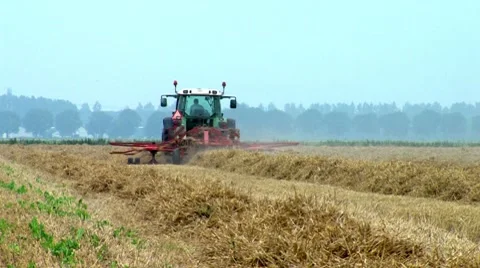 Machine is harvesting hay Stock Footage 8556201