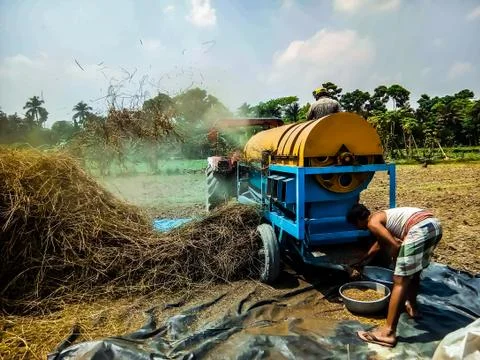 Machine is harvesting Stockfoto's