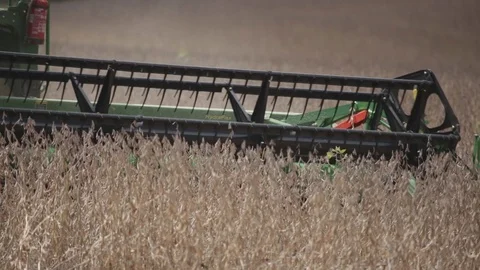 Machine harvesting soybean 库存影片 95638506